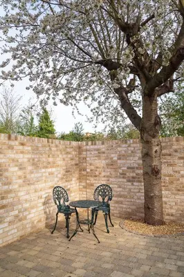 a table and two chairs next to a tree at Citystay Living - Park House in Cambridge