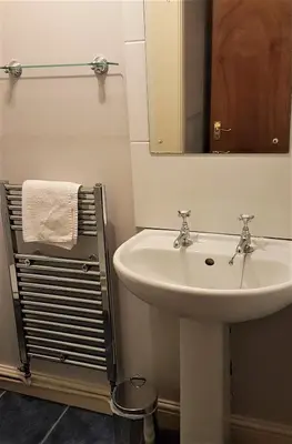 a bathroom with a sink and a mirror at The Pelican Guesthouse in Ashwellthorpe