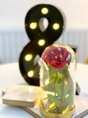 a flower in a glass vase on a table at The Birches in Cambridge