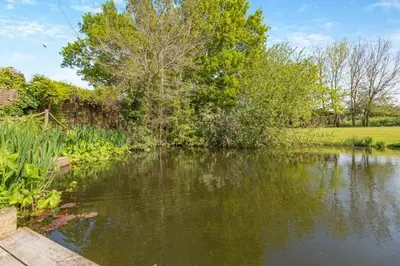 a pond in a yard with trees and grass at 16th Century Cartlodge with private hot tub in Diss
