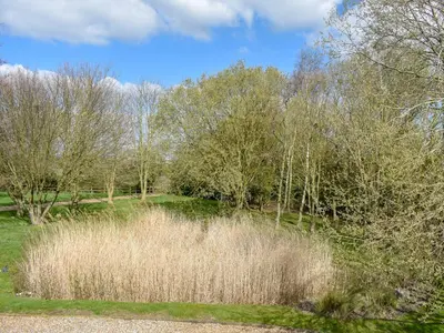 a field with tall grass and trees in the background at Hill Farm Cottage in Stretham
