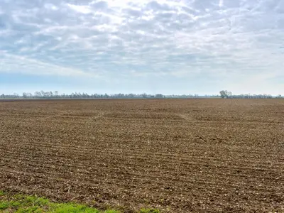 an open field with trees in the distance at Hill Farm Cottage in Stretham