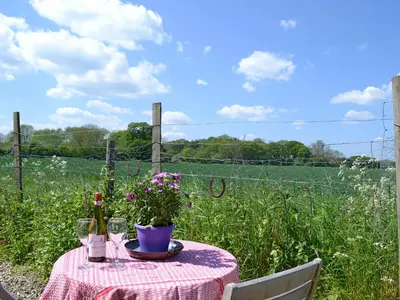 a table with a bottle of wine and flowers on a field at The Studio-Uk11822 in Westleton