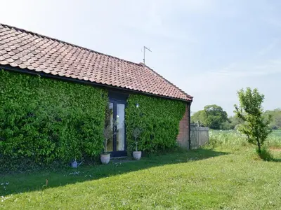 a building covered in ivy with two plants in a yard at The Studio-Uk11822 in Westleton