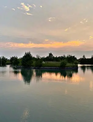 a view of a lake at sunset with trees at Waterside Lodges Cambridge in Cambridge