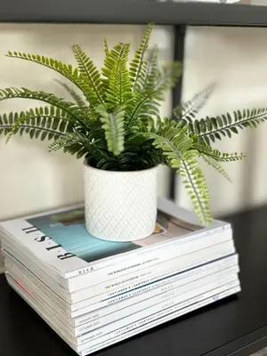 a potted plant sitting on top of a stack of books at Stansted Coach House - Apartment Hotel in Elsenham