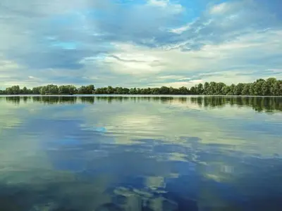 a large body of water with trees in the background at Thorn House in Fen Drayton