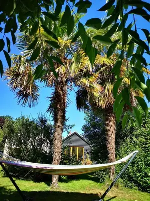 a hammock between two palm trees in front of a house at The Bird House at Woodburn Cottage in Dedham