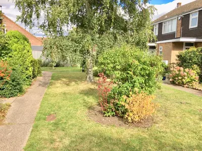 a yard with a tree and some bushes and a house at Homely & Cosy 3 Bed Birch Close House with Free Parking, Garden & Sleeps 8 in Cambridge