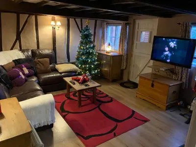 a living room with a christmas tree and a television at Myrtle cottage in Dickleburgh