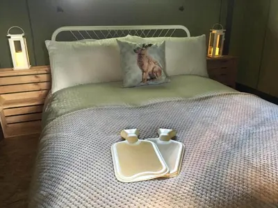 a cat sitting on a bed with two dishes on it at Wingfield Escapes in Diss