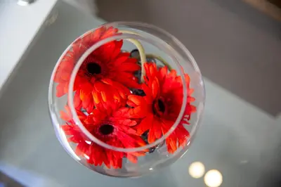 a red flower in a glass vase on a table at Velvet 2-bedroom apartment, Clockhouse, Hoddesdon in Hoddesdon