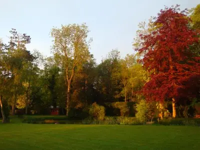 a field of green grass with trees in the background at Cobblestones in Benington