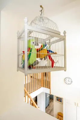 a bird in a bird cage in a room at Sea View, Thorpeness in Thorpeness