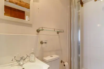 a bathroom with a sink and a toilet and a shower at Garden Cottage in Diss