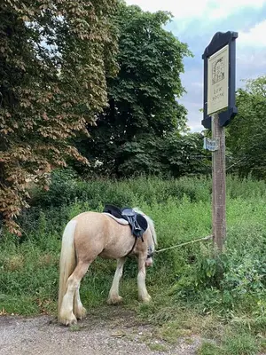 a horse tied to a sign next to a pole at Kings Head Low House in Laxfield