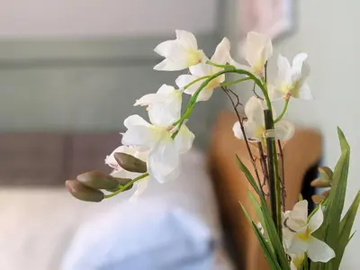 a vase filled with white flowers on a table at The Bell Inn in Thorpe le Soken