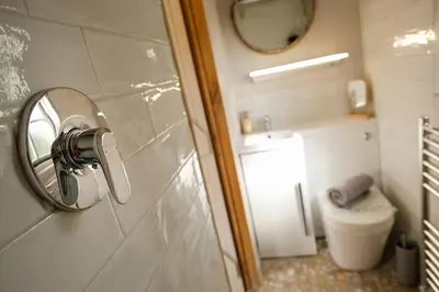 a bathroom with a toilet and a mirror on a wall at Piano Forte - a delightful rural shepherd hut & hot tub available ! in Rushford