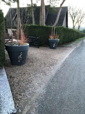 two potted plants sitting on the side of a road at Piano Forte - a delightful rural shepherd hut & hot tub available ! in Rushford
