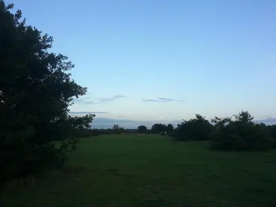 a large green field with trees in the distance at Low Farm Cottages in Woodbridge