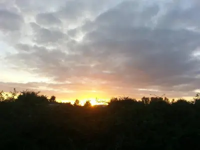 a sunset over a field with trees in the foreground at Low Farm Cottages in Woodbridge