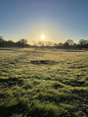 a field of grass with the sun in the background at The Three Blackbirds in Stetchworth