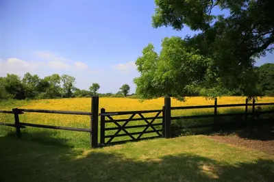 a wooden fence in front of a field of yellow flowers at 1 Bed in Sibton oc-sfbor in Sibton