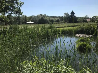 a pond with tall grass and a gazebo in a field at 1 Bed in Woodbridge oc-stabu in Ufford