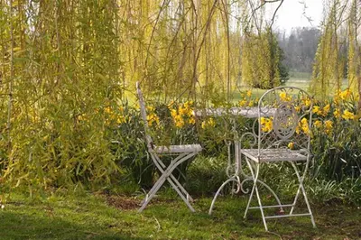 a table and chair in a garden with yellow flowers at 1 Bed in Woodbridge oc-stabu in Ufford