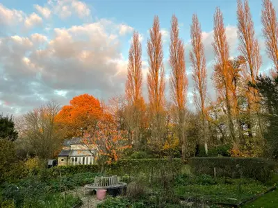 a garden with trees and a bench and a house at The Old Post Office, Hilton in Huntingdon