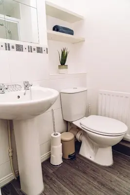 a white bathroom with a toilet and a sink at Comfortable Colchester Home in Colchester