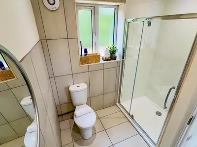 a bathroom with a toilet and a shower at Fox Lodge - Uk30605 in Pidley
