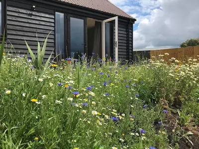 a field of flowers in front of a house at Hare Lodge - Uk30604 in Pidley