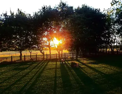 a sun setting behind a fence in a field with trees at wingate cottage in Southburgh