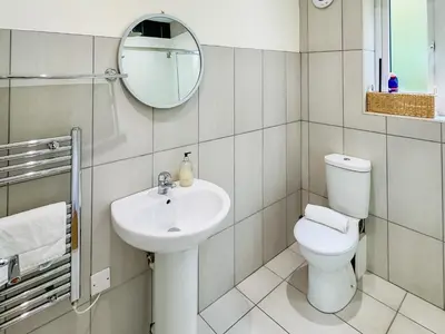 a bathroom with a toilet and a sink and a mirror at Badger Lodge - Uk30603 in Pidley