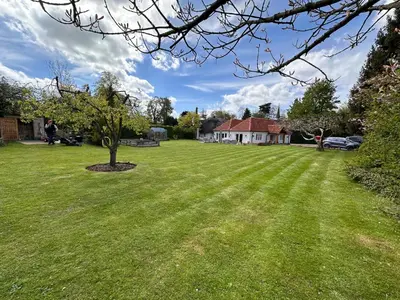 a lawn with a tree in the middle of a yard at The Cottage get away in Saffron Walden