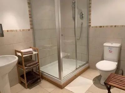 a bathroom with a shower and a toilet and a sink at Appletree Cottages in Mildenhall