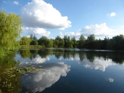 a river with a reflection of clouds in the water at Lakeland Lodge with private Hot Tub and fishing in Hatfield Peverel