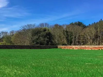 a large green field with trees in the background at The Dower Cottage in Sizewell