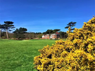a field of yellow flowers with a house in the background at The Dower Retreat in Sizewell