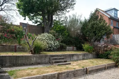 a garden with a tree and some bushes at Mansard House in Aldeburgh