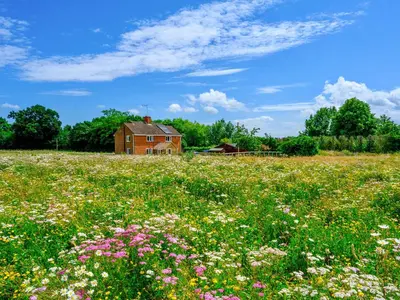 a field of flowers in front of a house at Old Alton Hall Farmhouse in Tattingstone