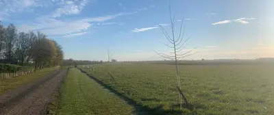 a field with a dirt road in the middle at Chestnut Cottage at Gravel Farm in Stretham