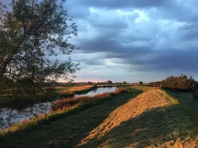 a body of water with a tree and a river at Chestnut Cottage at Gravel Farm in Stretham