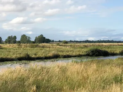 a river in a field with tall grass at Chestnut Cottage at Gravel Farm in Stretham