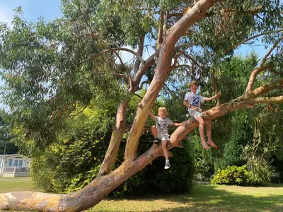 two young boys sitting on a tree branch at KellysHolidayHomes Atlas 3 bedrooms caravan in Weeley