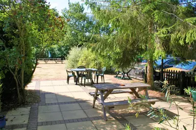 a group of picnic tables and chairs under a tree at The White Horse in Beyton