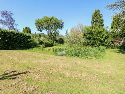 a dirt road in a field with trees and flowers at The Duck House in Thetford