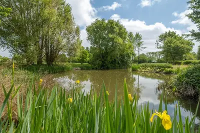 a pond in a park with flowers and trees at East Green Farm Cottages - The Granary in Saxmundham