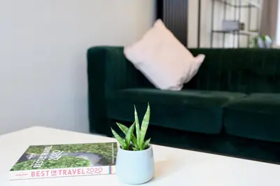 a living room with a green couch and a potted plant at Stylish Cambridge City Pad in Chesterton